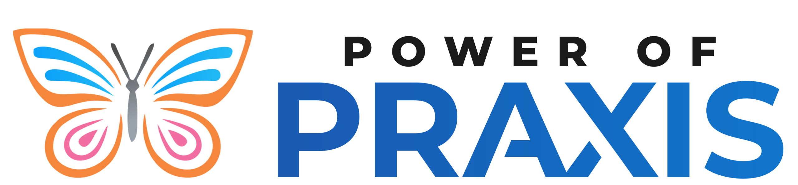 Power of Praxis